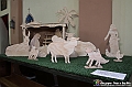 VBS_8359 - Presepe Chiesa di Martinetta Natale 2024
